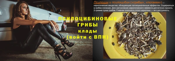 бутират Богданович